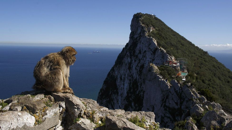 Finlayson says the steep cliffs on Gibraltar have helped to preserve Neanderthal remains (Credit: Getty Images)