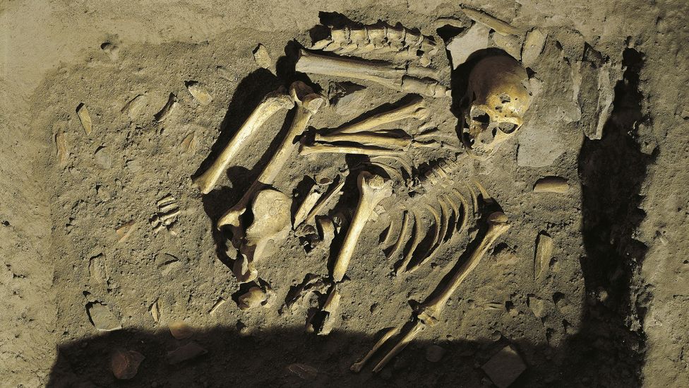 A reconstruction of a Neanderthal burial at Chapelle-aux-Saints, France (Credit: Getty Images)