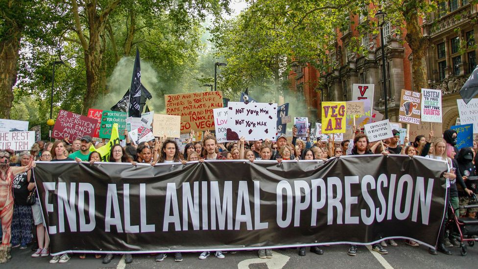 Veganism has been on the rise - vegan and animal activists held a march in London in 2018 (Credit: Getty Images)