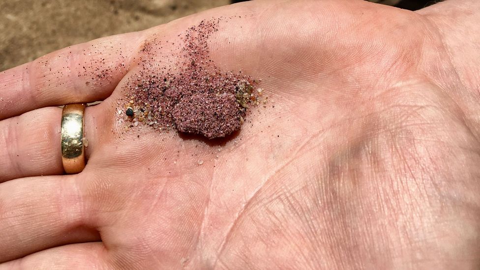 Purple Sands Beach owes its colouring to the mineral garnet, which is found inside rocks that date back more than a billion years (Credit: Scott Shillington)