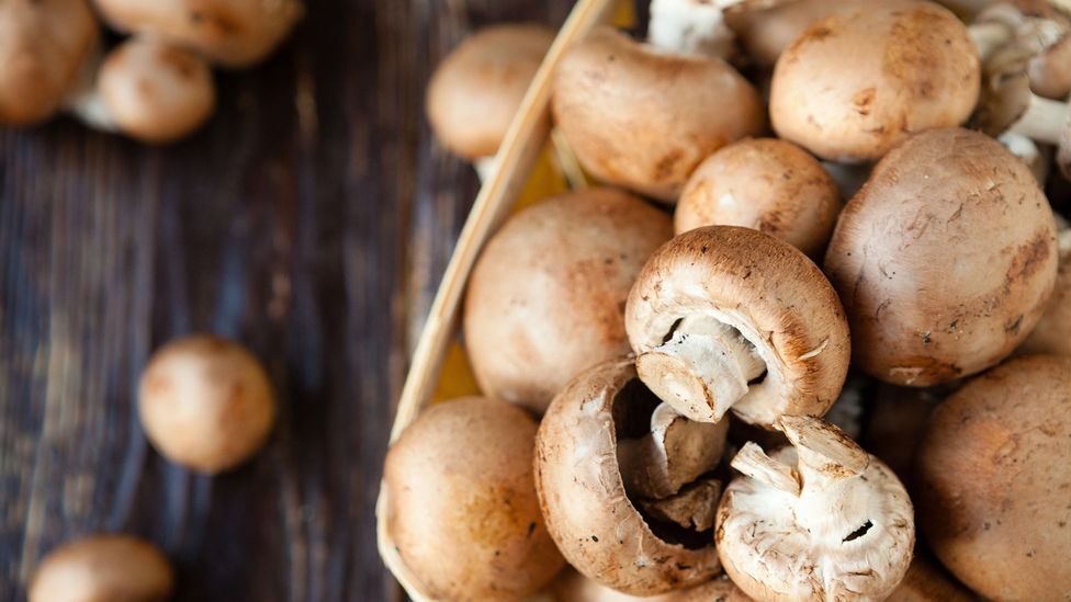 Much of the carbon footprint of mushrooms comes from the heat needed to grow them indoors (Credit: Getty Images)