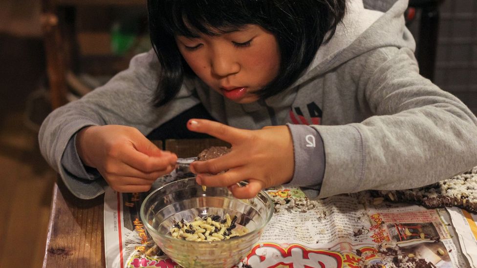 As the population of Kushihara gets smaller and older, fewer children are learning how to hunt and harvest wasp nests (Credit: Phoebe Amoroso) As the population of Kushihara gets smaller and older, fewer children are learning how to hunt and harvest wasp nests (Credit: Phoebe Amoroso)