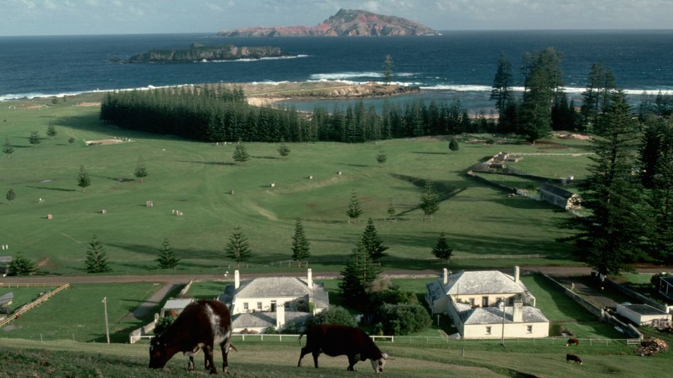Isles such as Norfolk Island, Australia, are an ideal, self-contained place to measure people's carbon emissions (Credit: Getty Images) Isles such as Norfolk Island, Australia, are an ideal, self-contained place to measure people's carbon emissions (Credit: Getty Images)