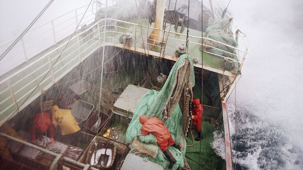 The fishermen were separated from land by three miles of frigid sea (Credit: Getty Images)