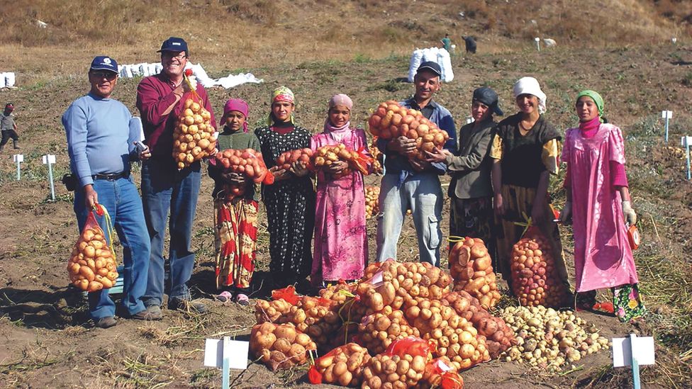 In the steppes of Tajikistan, local communities have also embraced potatoes as one of “their” products (Credit: International Potato Center)