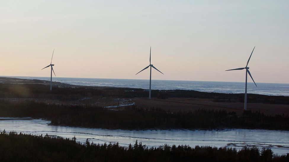 Growing wind farms like this one on Prince Edward Island can provide valuable renewable energy, but pose a problem for wildlife (Credit: Getty Images) Growing wind farms like this one on Prince Edward Island can provide valuable renewable energy, but pose a problem for wildlife (Credit: Getty Images)