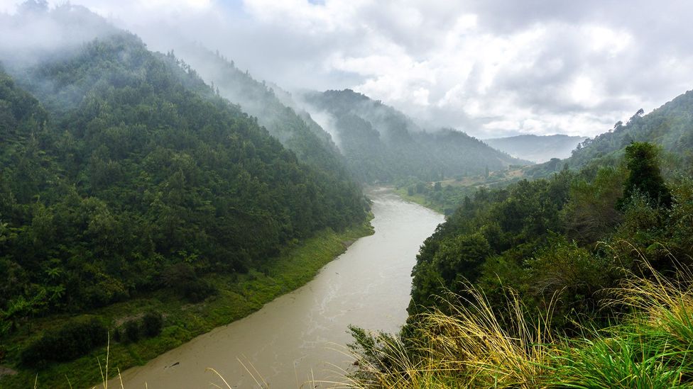 This river can sue you in a court of law (Credit: rumboalla/Getty Images)