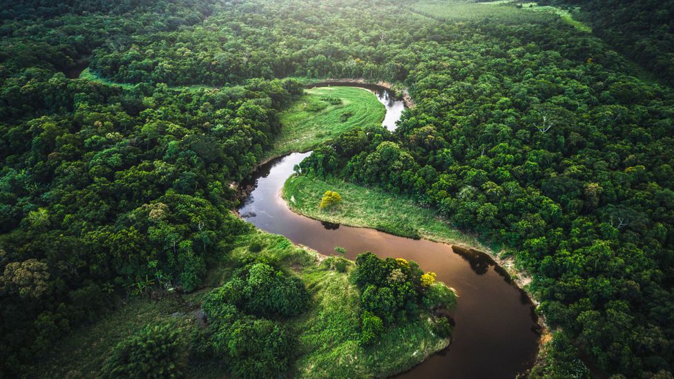 Brazil’s abundance of natural resources has contributed to its economic growth (Credit: FG Trade/Getty Images)