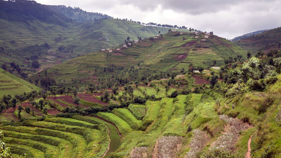 Rwanda has had experience in similar health crises, managing to successfully contain Ebola from its borders in 2019 (Credit: Sloot/Getty Images)