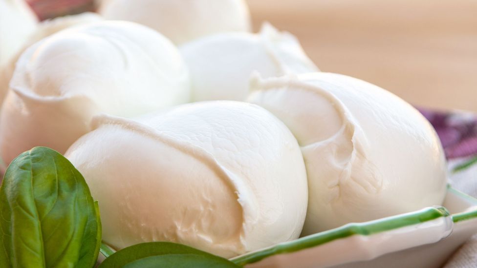 Mozzarella di bufala is made from the milk of water buffalo that live in Italy’s Campania and Lazio regions (Credit: barmalini/Getty Images)