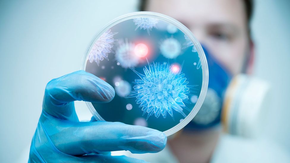 Scientist looking at petri dish (Credit: Getty Images)