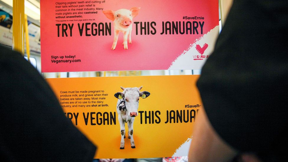 Veganism is booming at the moment, with a record number of people signing up for this year’s Veganuary initiative Veganism is booming at the moment, with a record number of people signing up for this year’s Veganuary initiative