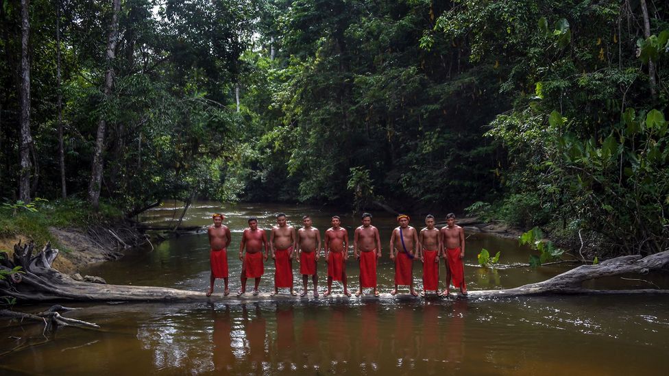 Nearly everyone in Brazil's indigenous Waiapi group has died from disease since first coming into contact with outsiders less than 50 years ago (Credit: APU Gomes/Getty Images)