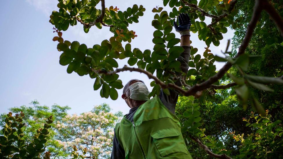Chinese residents are finally able to get out about after a long period of quarantine (STR/AFP via Getty Images) Chinese residents are finally able to get out about after a long period of quarantine (STR/AFP via Getty Images)