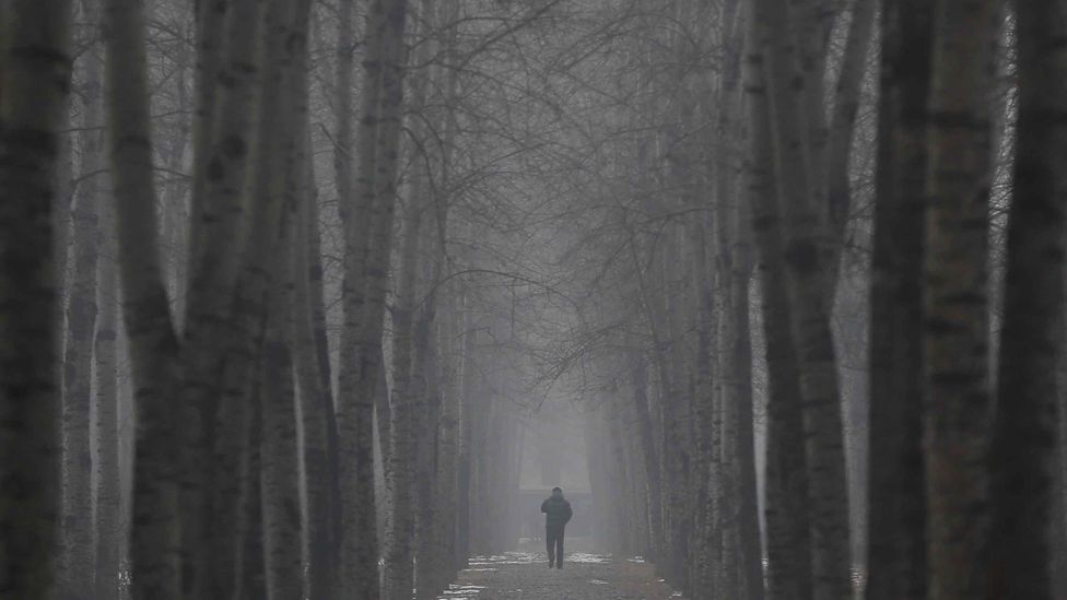 Air pollution in Beijing regularly exceeds 10 times the WHO recommended levels, but tree-planting schemes are being deployed in an attempt to cut pollution (Credit: Getty Images)