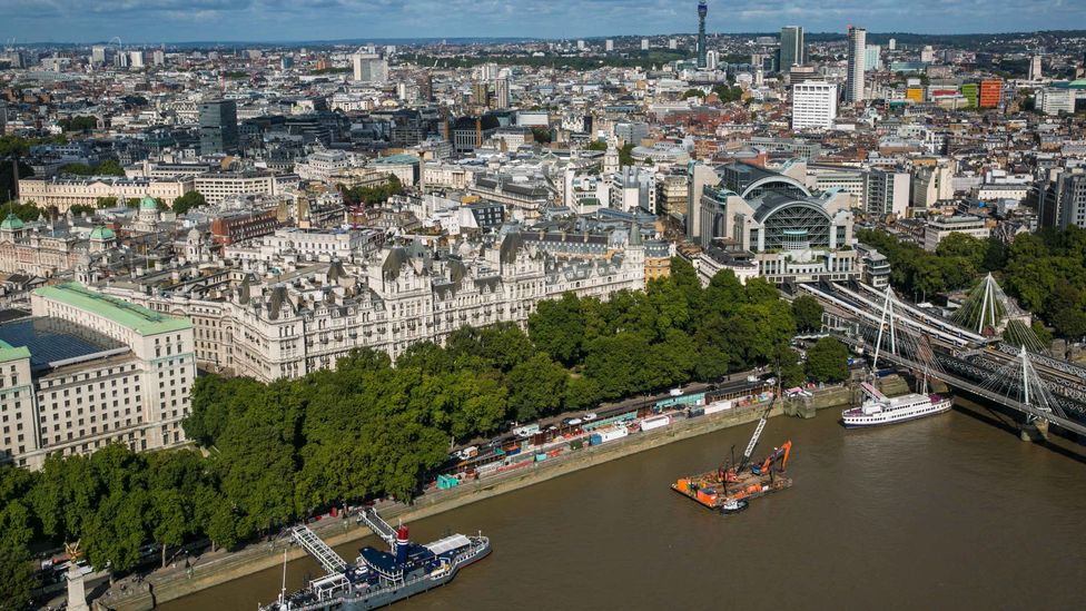 London plane trees, which line the Victoria Embankment, emit high levels of volatile organic compounds, which can be bad for urban air pollution (Credit: Getty Images)