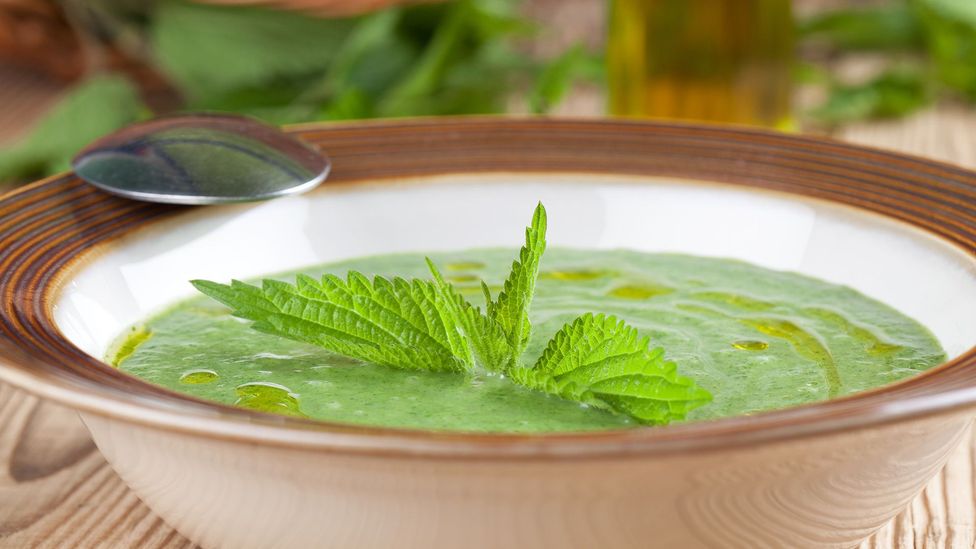 Stinging nettle soup is a quintessentially English dish (Credit: IngridHS/Getty Images)