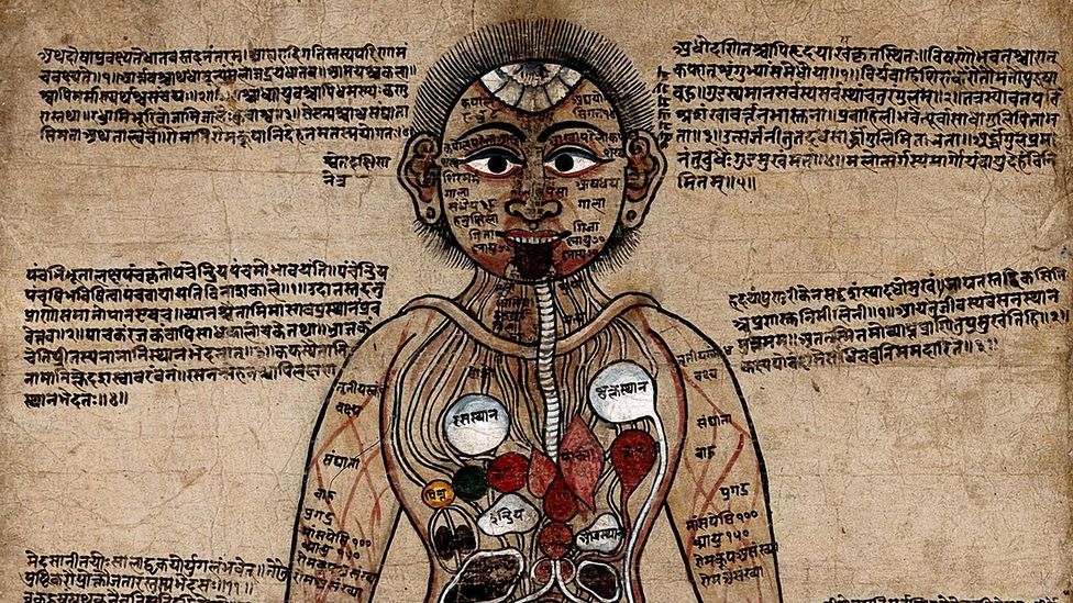 Ayurvedic medicine, which is thousands of years old, is just one form of medicine that recommends animal-derived treatments (Credit: Getty Images)