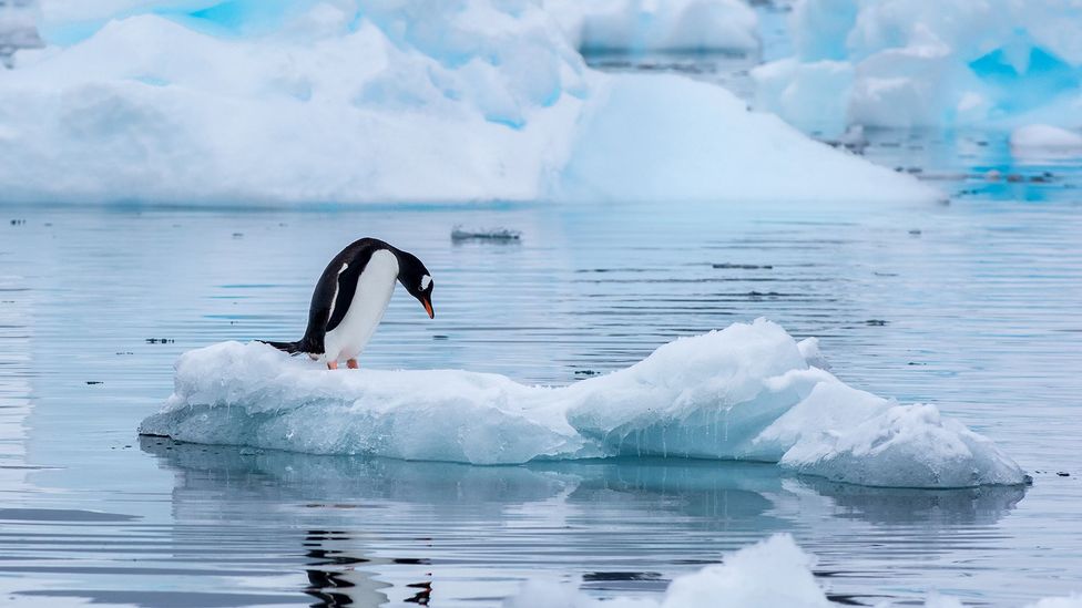 By freeing himself of other people and quietly watching the world around him, the author felt a deep sense of liberation and clarity (Credit: Ray Hems/Getty Images)