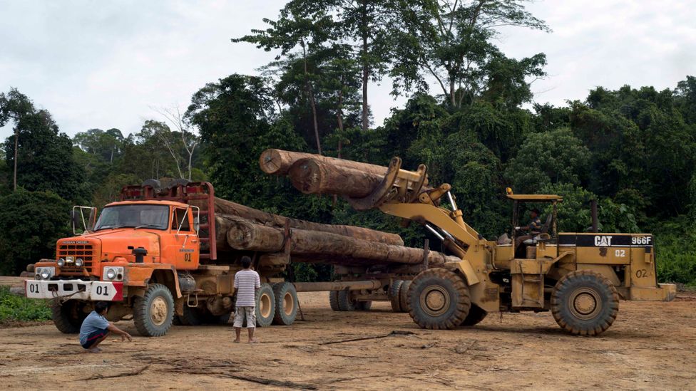 Indonesia has already been intensively deforested, which fuels the nation's long and deadly forest-fire seasons (Credit: Getty Images) Indonesia has already been intensively deforested, which fuels the nation's long and deadly forest-fire seasons (Credit: Getty Images)