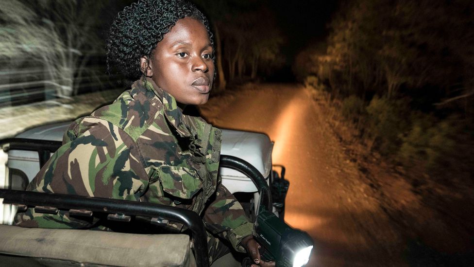 Anti-poaching rangers play a vital role in monitoring wildlife parks, but some have been less able to get into the field during national lockdowns (Credit: Getty Images)