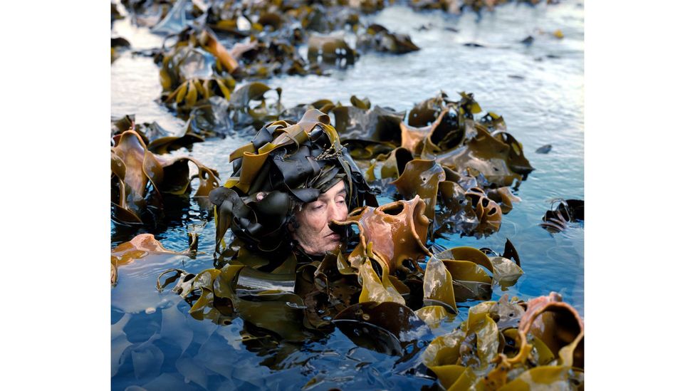 Eyes as Big as Plates # Scotty (Tasmania 2019) (Credit: Karoline Hjorth and Riitta Ikonen)