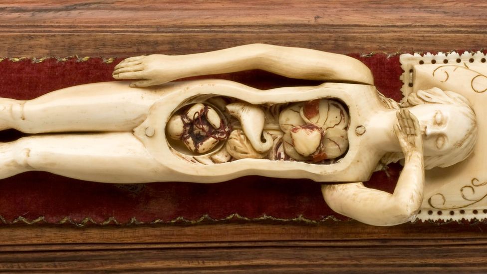 While on the outside the signs of ageing can be easily spotted, those that occur inside our body are more important but less visible (Credit: Wellcome Collection)