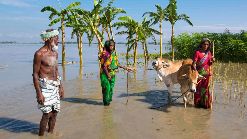 As well as contributing less greenhouse gas emissions, many developing nations, such as Bangladesh, are more vulnerable to the effects of climate change (Credit: Getty Images)