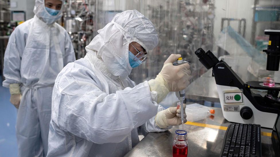 A scientist testing a Covid-19 vaccine on some cells (Credit: Getty Images)