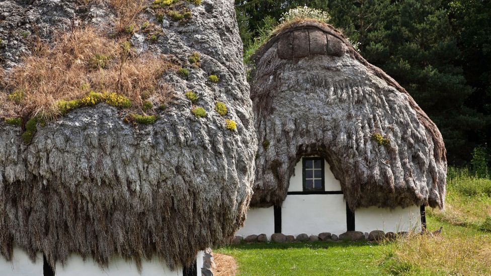 Læsø is the only place in Denmark where eelgrass thatching can be found (Credit: Carstenbrandt/Getty Images)