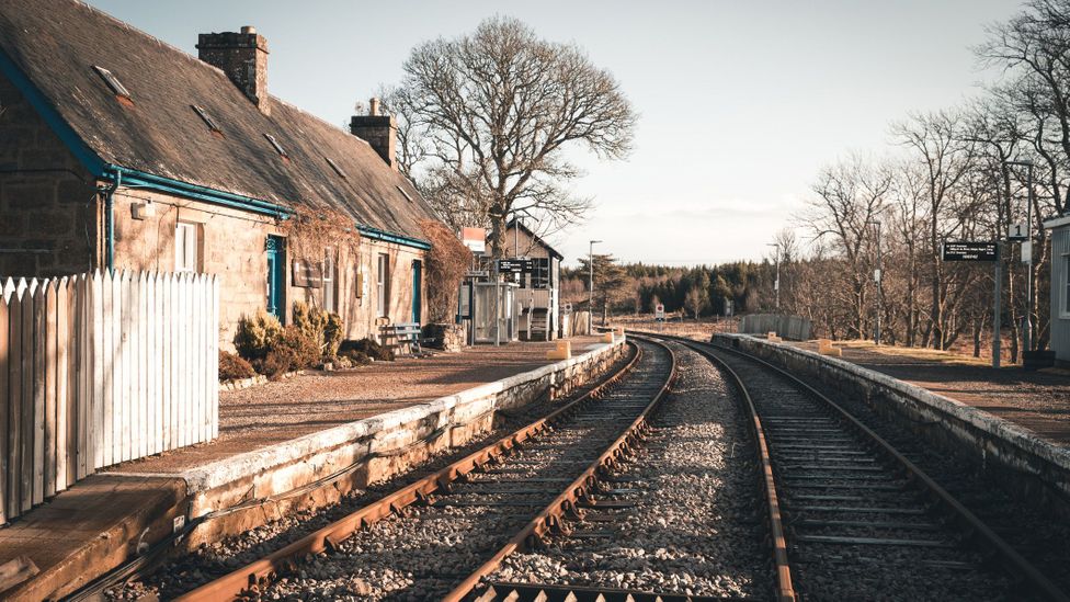 Platform — peatland in Cooleeny