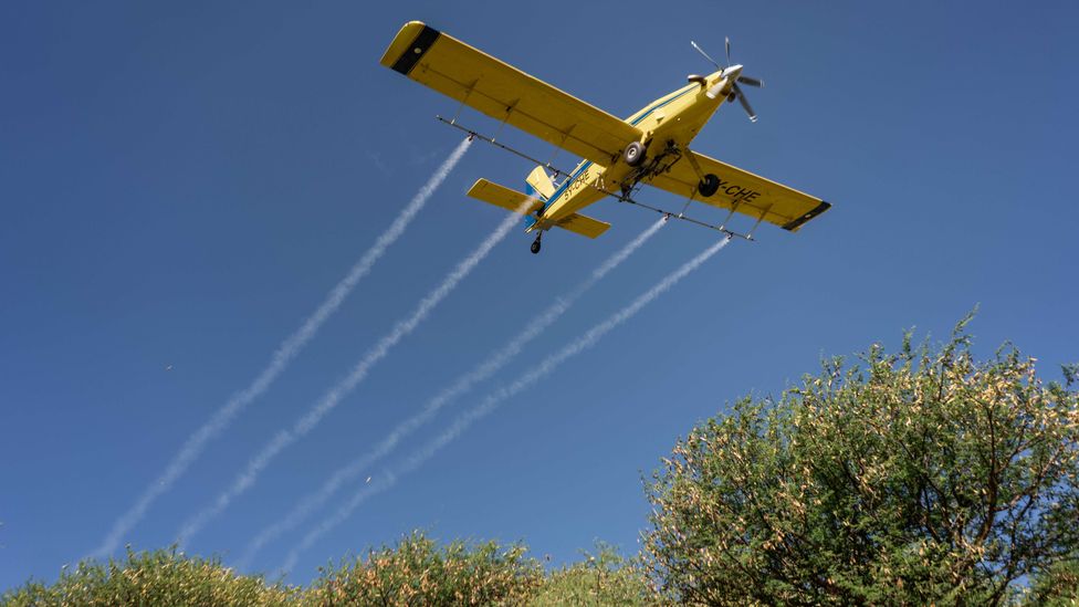 Kenya's efforts in tackling locusts have been focused in the north of the country, including flyovers by pesticide-spraying planes (Credit: Getty Images)