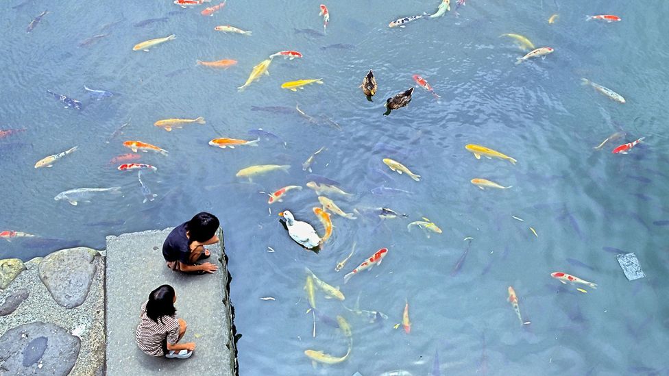 Creator of Pokemon Satoshi Tajiri mourned a childhood spent playing in nature (Credit: Alamy)