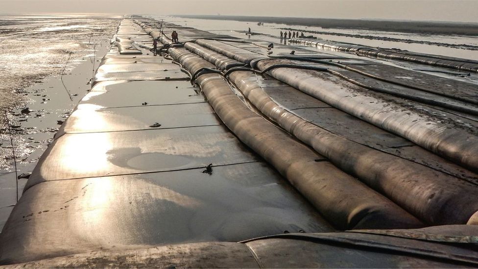 More than 11,000km of China's coastline is walled with concrete, such as here at the Yangtze estuary (Credit: Wu Wei)