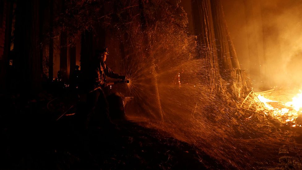 Firefighters have been fighting to defend homes after thousands of lightning strikes started forest fires in California (Credit: Reuters)