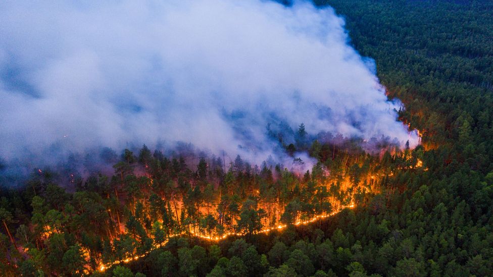 Smoke from fires in Siberia has blown as far as Alaska, Canada and US cities including Seattle (Credit: Julia Petrenko/Greenpeace)