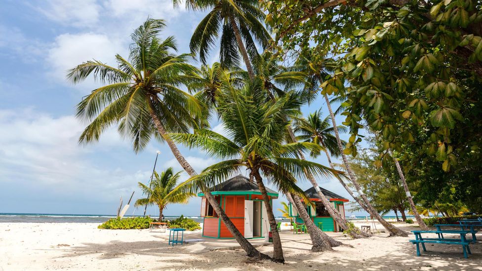 Beginning 24 July, Barbados implemented a Welcome Stamp plan to allow visitors to work from the Caribbean island for 12 months (Credit: Alamy) Beginning 24 July, Barbados implemented a Welcome Stamp plan to allow visitors to work from the Caribbean island for 12 months (Credit: Alamy)