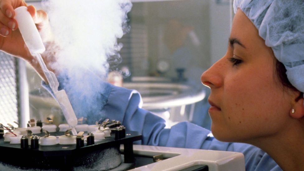 Fertility treatments and the ability to freeze eggs has allowed more women to have children later than was possible in the past (Credit: Science Photo Library)
