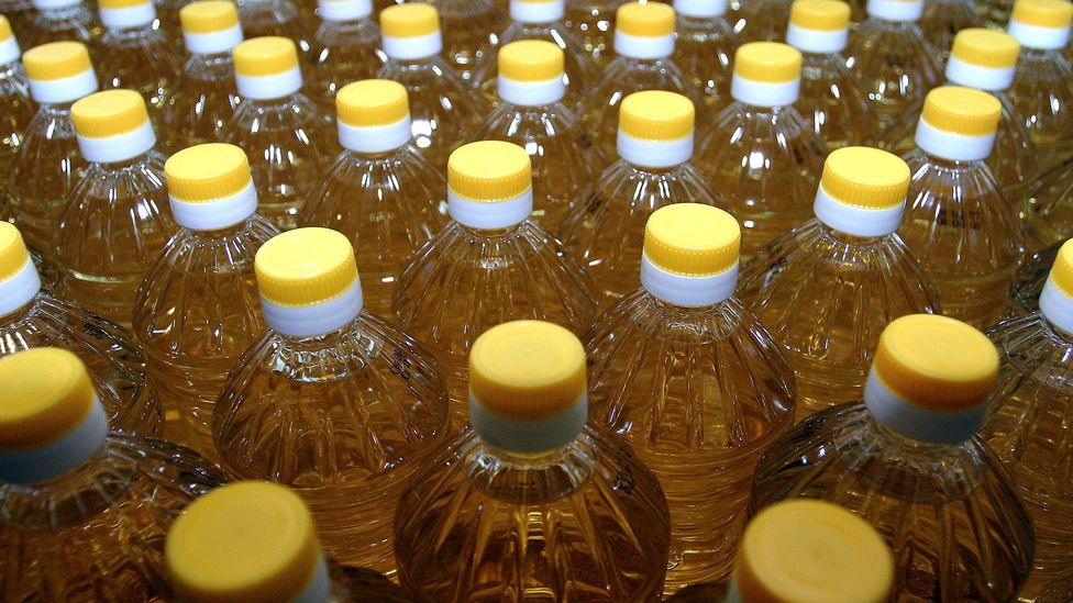 Which Cooking Oil Is The Healthiest Bbc Future