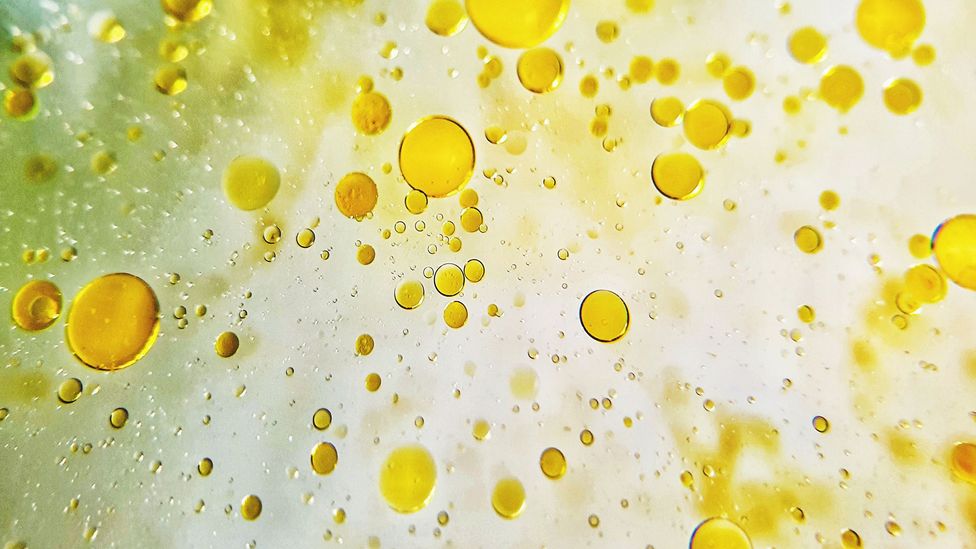 The smaller short chain and medium chain fatty acids in some vegetable oils are dissolved in the blood rather than being stored in the liver (Credit: Getty Images) The smaller short chain and medium chain fatty acids in some vegetable oils are dissolved in the blood rather than being stored in the liver (Credit: Getty Images)