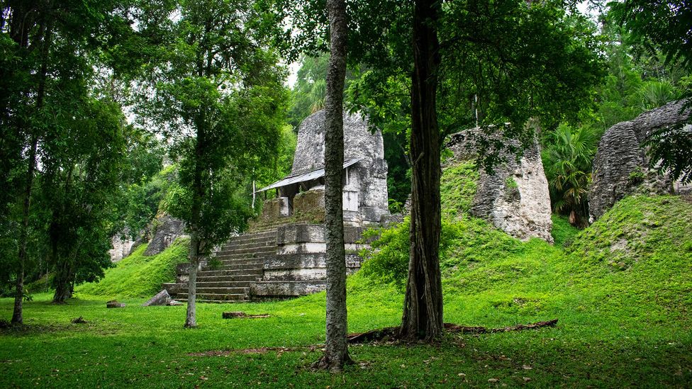 In Guatemala, Lidar has revealed 60,000 structures, including temples, pyramids and causeways (Credit: Amanda Ruggeri)