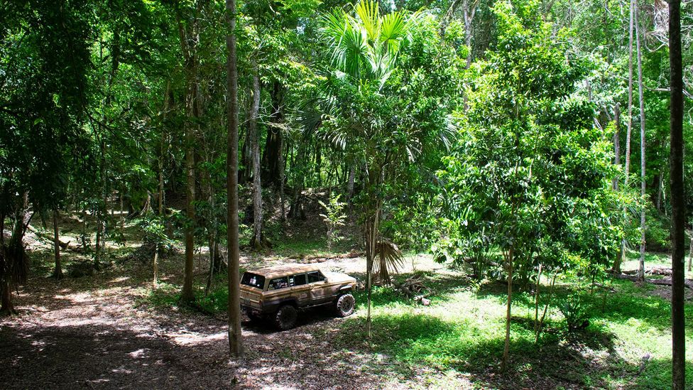 Trucks driving archaeologists through the jungle can sometimes get stuck (Credit: Amanda Ruggeri) Trucks driving archaeologists through the jungle can sometimes get stuck (Credit: Amanda Ruggeri)