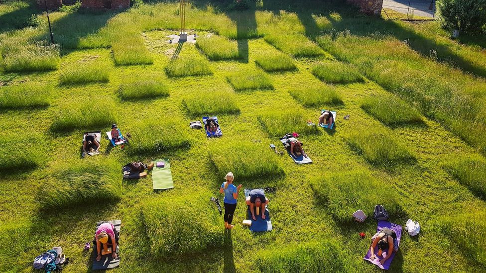 Architect Ada Kotyńska of art gallery Galeria EL in Elblag, Poland, mowed the gallery’s garden into a checkerboard pattern to promote distancing (Credit: Lukasz Kotynski) Architect Ada Kotyńska of art gallery Galeria EL in Elblag, Poland, mowed the gallery’s garden into a checkerboard pattern to promote distancing (Credit: Lukasz Kotynski)