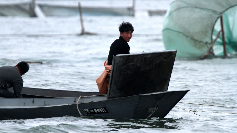 The South China Sea is home to some of the world's largest fisheries, but they have been severely overfished (Credit: Getty Images) The South China Sea is home to some of the world's largest fisheries, but they have been severely overfished (Credit: Getty Images)
