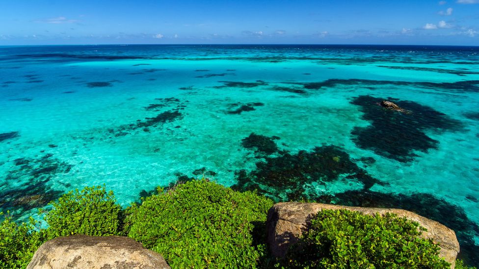 The reef system varies widely in depth, giving rise to the “sea of seven colours” nickname (Credit: DC_Colombia/Getty Images)