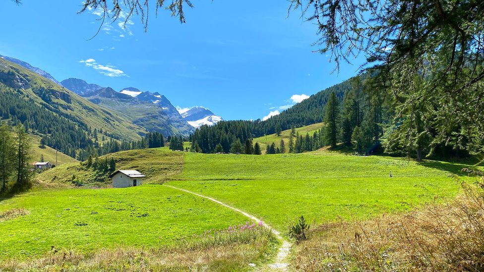 Hiking trails thred the Alpine mountains and valleys around Sils-Maria (Credit: clu/Getty Images)
