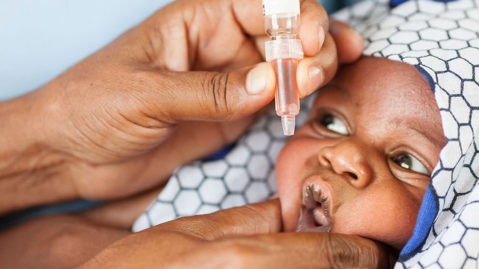 Polio was recently announced to have been eradicated in Africa after a long-running vaccination programme (Credti: Getty Images)