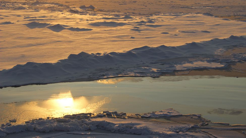 The young, thin Arctic ice is darker and less reflective than the thick, white, old ice – pushing the Arctic into a feedback cycle of warming (Credit: Martha Henriques)