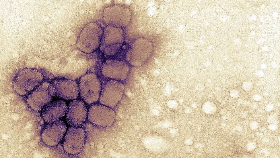 The Chilling Experiment Which Created The First Vaccine BBC Future