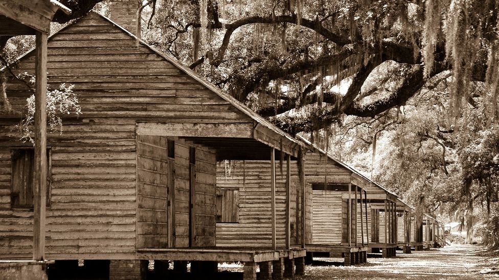 For years, Southerners boasted that "authentic" fried chicken was only made by African Americans, many of whom were enslaved (Credit: MSMcCarthy_Photography/Getty Images) For years, Southerners boasted that "authentic" fried chicken was only made by African Americans, many of whom were enslaved (Credit: MSMcCarthy_Photography/Getty Images)